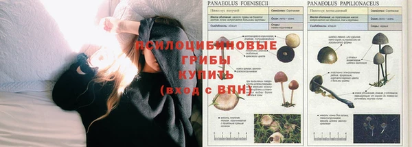 мет Балабаново