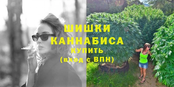дживик Протвино
