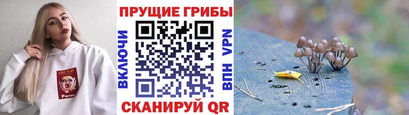 Галлюциногенные грибы MAGIC MUSHROOMS  mega зеркало  Северо-Курильск 